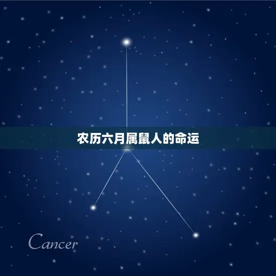 农历六月属鼠人的命运