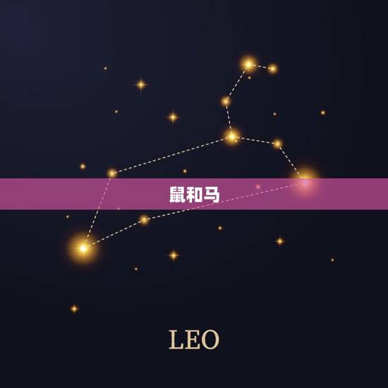 鼠和马 鼠和马