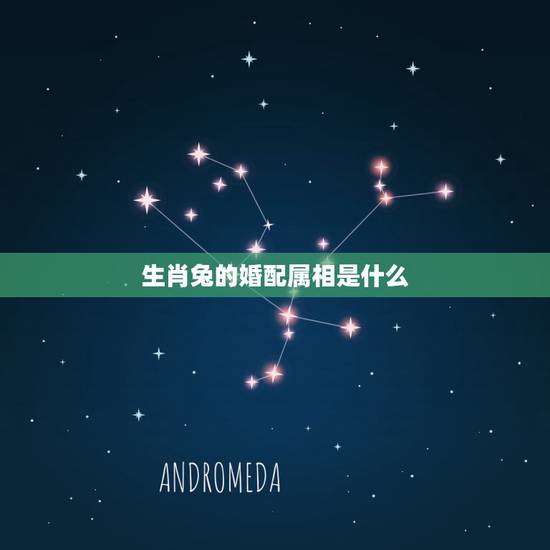 生肖兔的婚配属相是什么，属兔的属相婚配表是怎样的？
