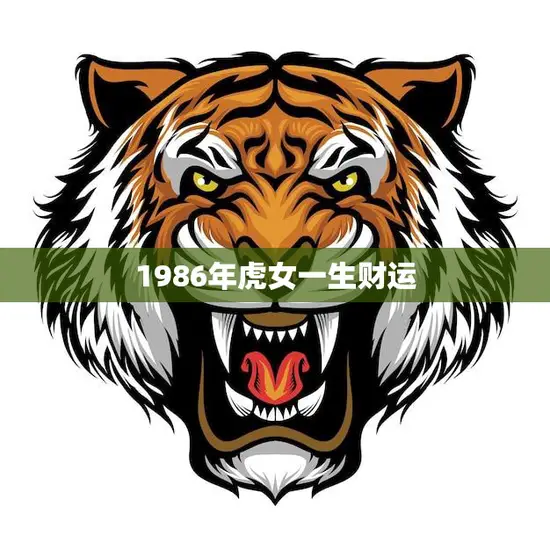 1986年虎女一生财运(如何提升)