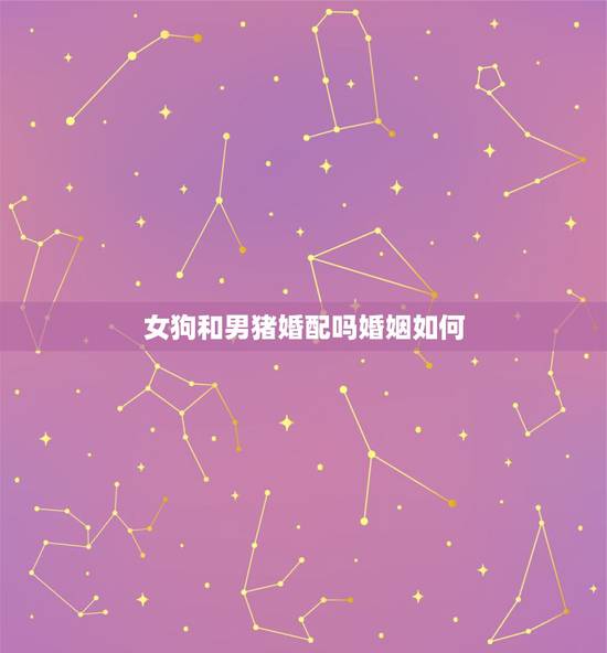 女狗和男猪婚配吗婚姻如何，男猪女狗婚姻是否相配