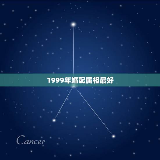 1999年婚配属相最好，1999年男最佳婚配