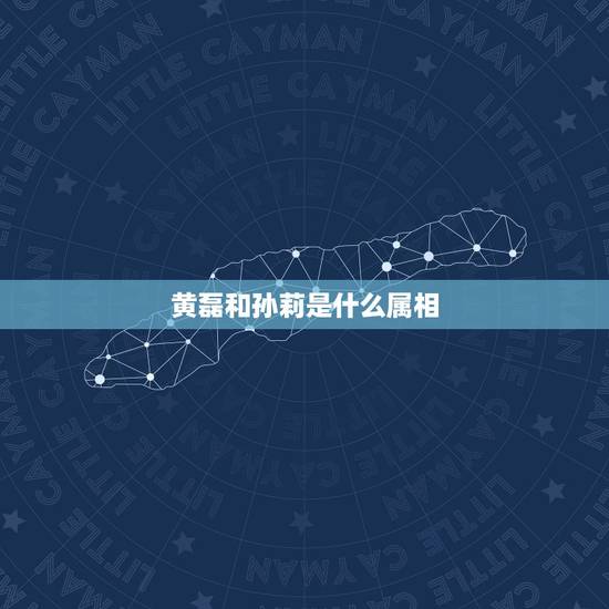 黄磊和孙莉是什么属相，黄磊属什么生肖的