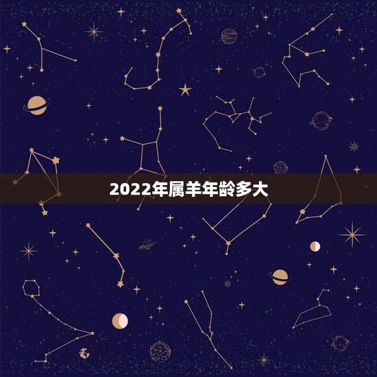 2022年属羊年龄多大,属羊最旺财的年龄段2022年 2022年属羊年龄多大,属羊最旺财的年龄段2022年