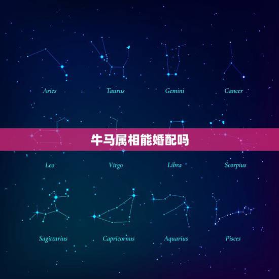 牛马属相能婚配吗,牛马属相不能结婚吗 牛马属相能婚配吗,牛马属相不能结婚吗