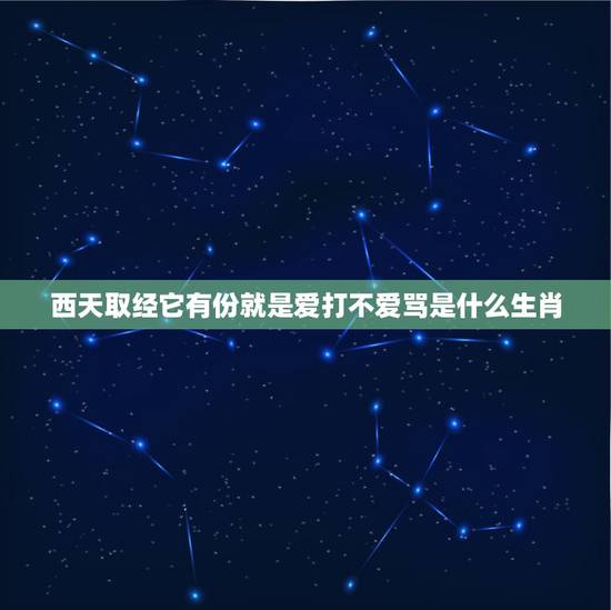 西天取经它有份就是爱打不爱骂是什么生肖，西天取经它有份就是爱打不爱骂猜