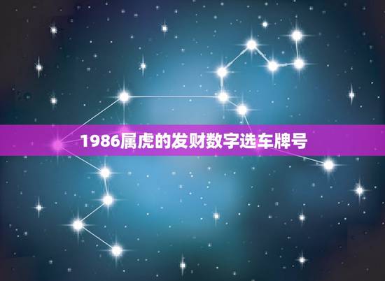 1986属虎的发财数字选车牌号，1986年属虎幸运数字
