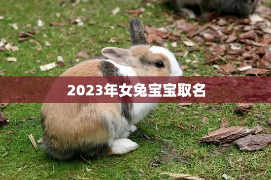 2023年女兔宝宝取名(如何选择最佳名字) 2023年女兔宝宝取名(如何选择最佳名字)