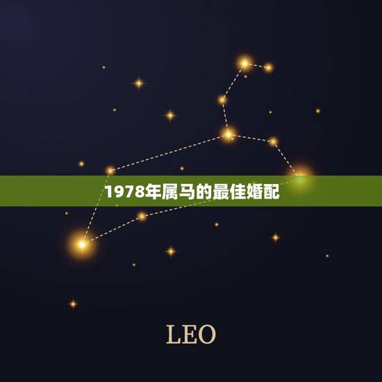 1978年属马的最佳婚配,属马的和什么属相最配 属马的属相婚配表 1978年属马的最佳婚配,属马的和什么属相最配 属马的属相婚配表