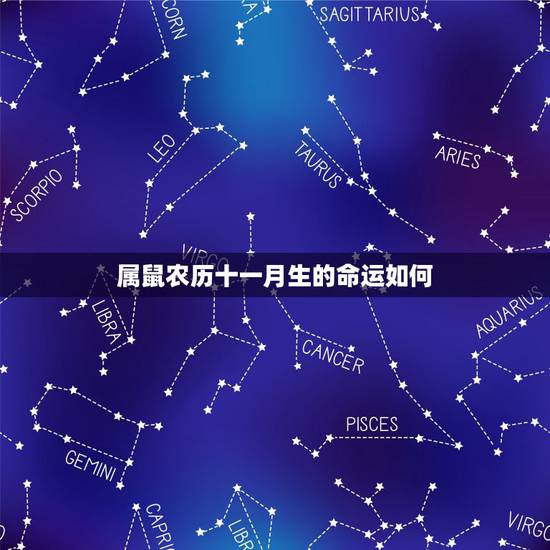 属鼠农历十一月生的命运如何，属鼠几月出生好