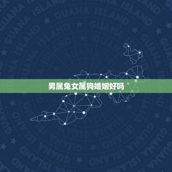 男属兔女属狗婚姻好吗,男兔女狗的婚姻最终结局 男属兔女属狗婚姻好吗,男兔女狗的婚姻最终结局