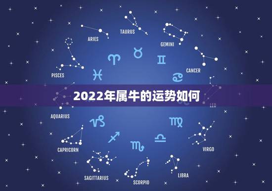 2022年属牛的运势如何，属牛的明年运势如何啊，合适向哪个方面发展