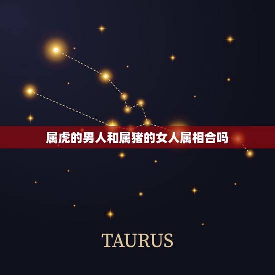 属虎的男人和属猪的女人属相合吗,女属猪和男属虎配吗? 属虎的男人和属猪的女人属相合吗,女属猪和男属虎配吗?