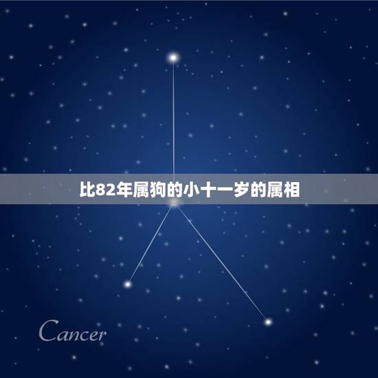 比82年属狗的小十一岁的属相,82年属狗的比86年属虎的大几岁 比82年属狗的小十一岁的属相,82年属狗的比86年属虎的大几岁