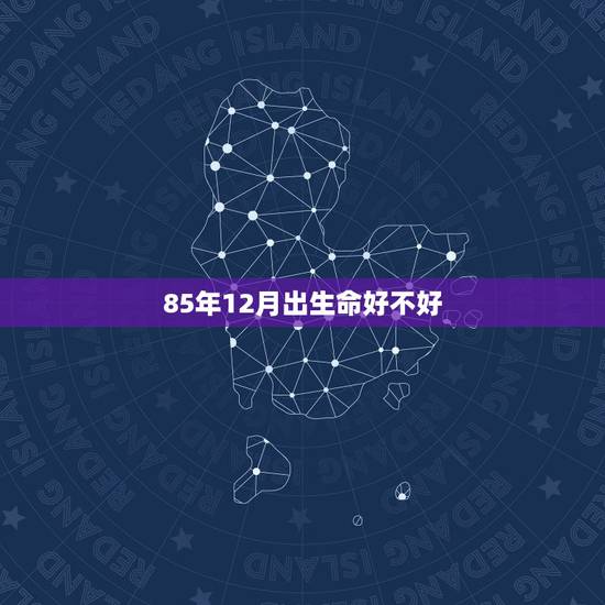 85年12月出生命好不好 1985年12月属牛是什么命
