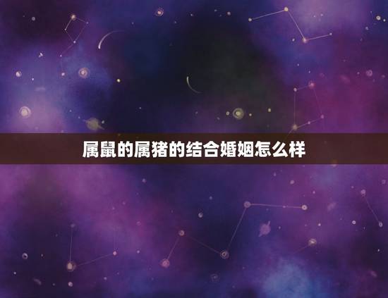 属鼠的属猪的结合婚姻怎么样,96年属鼠几月命不好 属鼠的属猪的结合婚姻怎么样,96年属鼠几月命不好