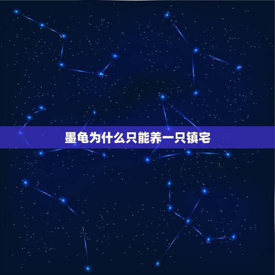 墨龟为什么只能养一只镇宅,家养镇宅龟养墨龟好还是金线好或是银线好,养几 墨龟为什么只能养一只镇宅,家养镇宅龟养墨龟好还是金线好或是银线好,养几