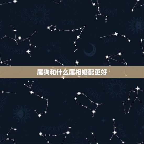 属狗和什么属相婚配更好，狗与什么人相配