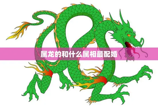 属龙的和什么属相最配婚(最佳配对星座大揭秘)