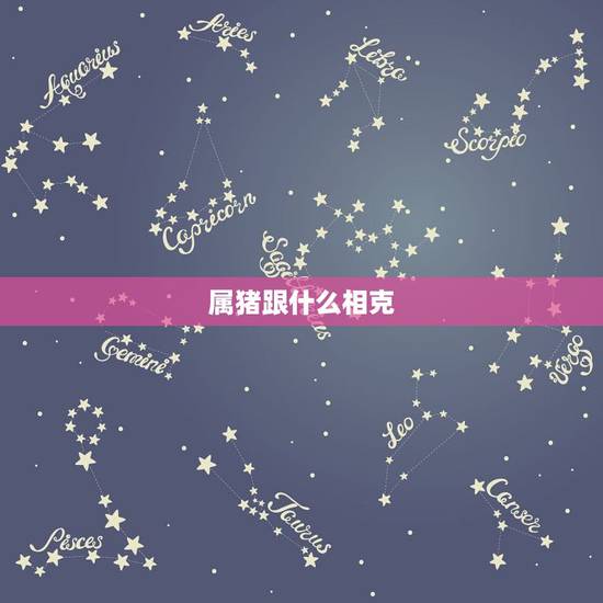 属猪跟什么相克，属猪的敌人是哪个生肖