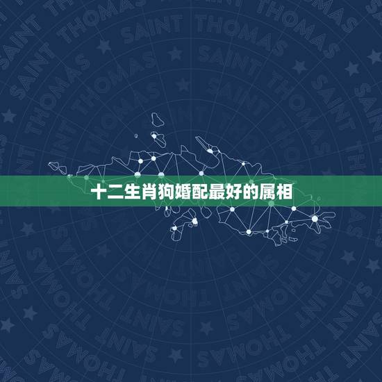 十二生肖狗婚配最好的属相,属狗的人和什么属相相配最好 十二生肖狗婚配最好的属相,属狗的人和什么属相相配最好