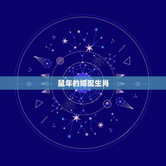 鼠年的婚配生肖，老鼠配偶更好的生肖