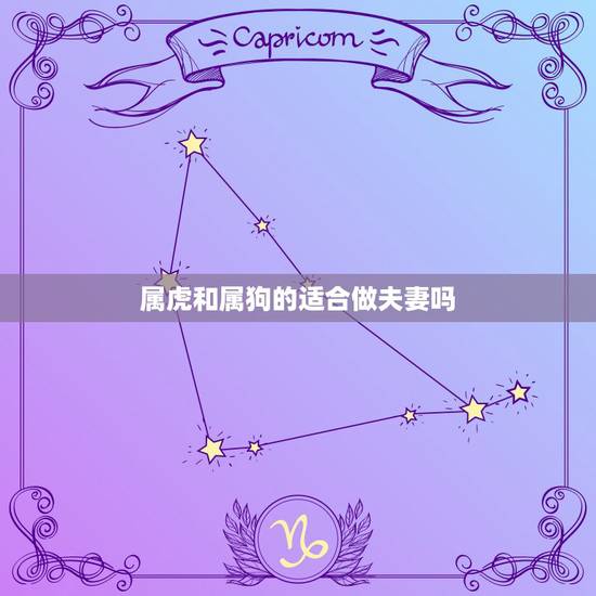属虎和属狗的适合做夫妻吗,属狗属虎在一起好不好 属虎和属狗的适合做夫妻吗,属狗属虎在一起好不好