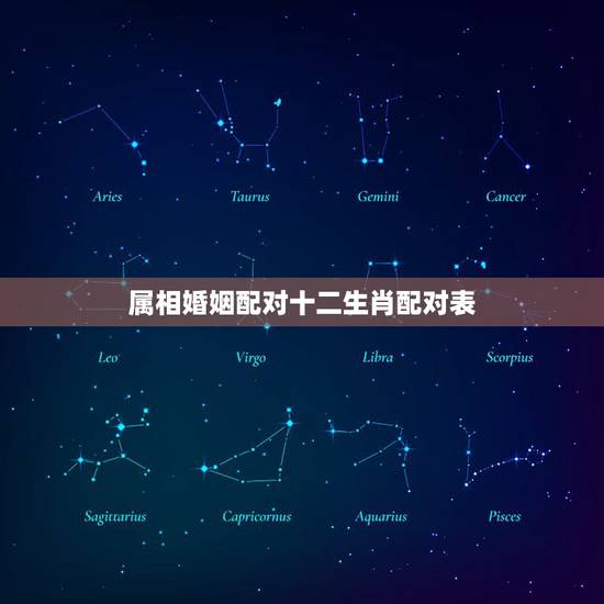 属相婚姻配对十二生肖配对表，十二生肖婚姻配对大全？