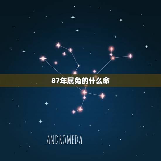 87年属兔的什么命,1987年属兔男人的命运 87年属兔的什么命,1987年属兔男人的命运