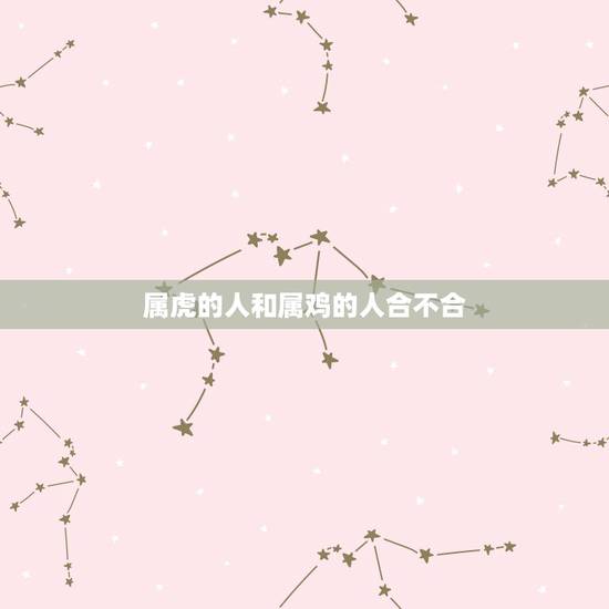属虎的人和属鸡的人合不合，属虎的属鸡的在一起合得来吗