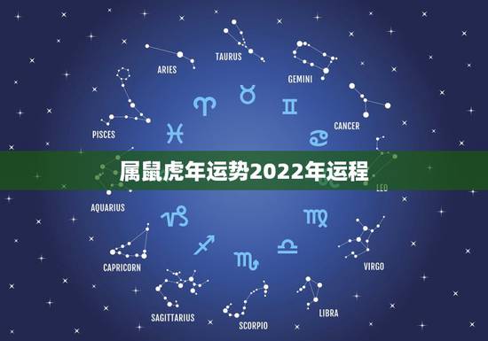 属鼠虎年运势2022年运程,1996年属鼠人2023年运势女性 属鼠虎年运势2022年运程,1996年属鼠人2023年运势女性