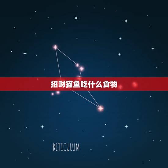 招财猫鱼吃什么食物，招财猫鱼吃什么？
