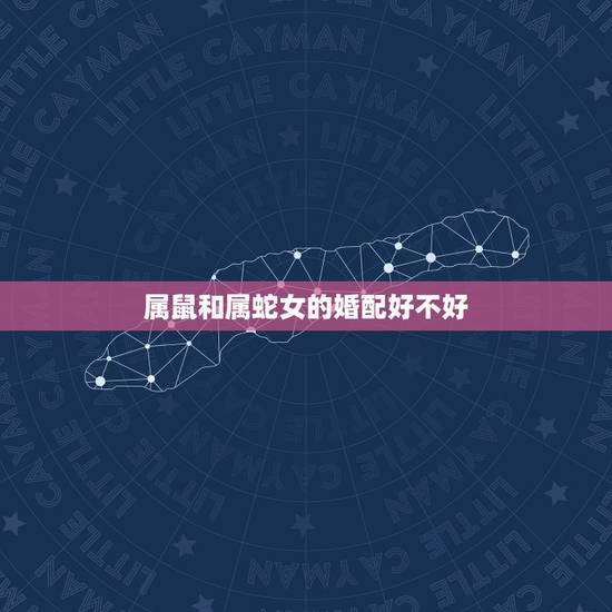 属鼠和属蛇女的婚配好不好,属鼠和属蛇的属相配吗 属鼠和属蛇女的婚配好不好,属鼠和属蛇的属相配吗