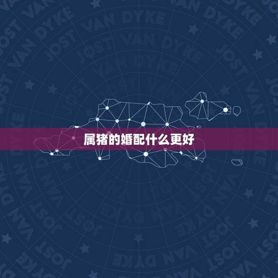 属猪的婚配什么更好，属虎属猪婚配好不好
