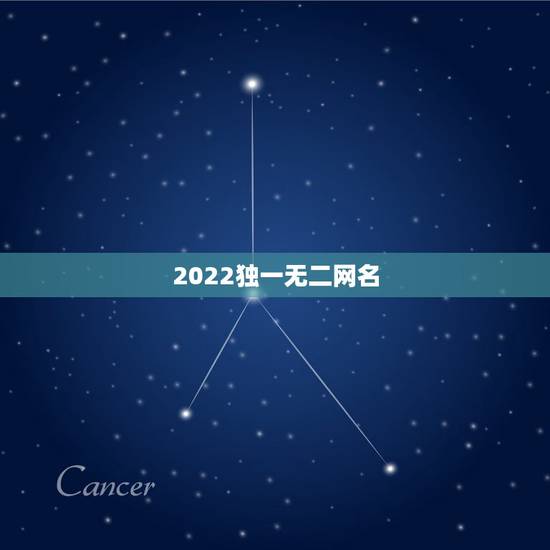 2022独一无二网名，2023独一无二微信网名伤感