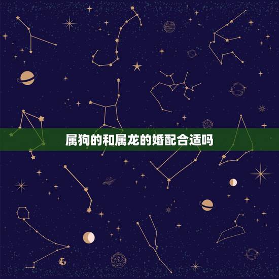 属狗的和属龙的婚配合适吗，属狗和属龙的相配吗