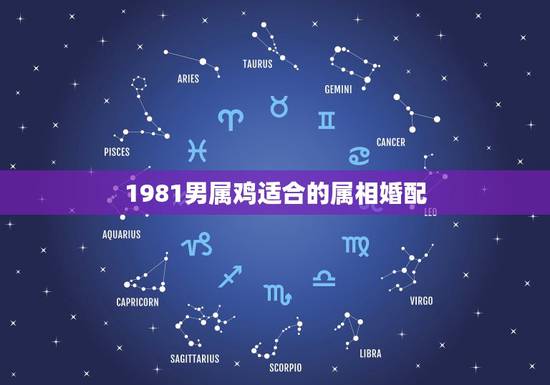 1981男属鸡适合的属相婚配，81年属鸡女和什么属相的男的最配