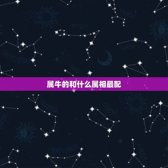 属牛的和什么属相最配