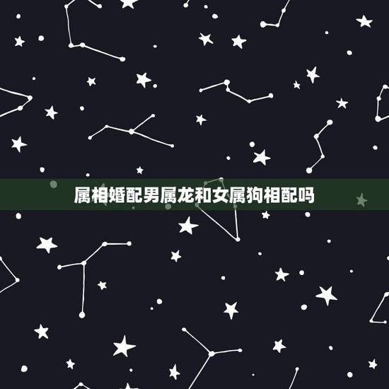 属相婚配男属龙和女属狗相配吗,属龙和属狗的能婚配吗? 属相婚配男属龙和女属狗相配吗,属龙和属狗的能婚配吗?