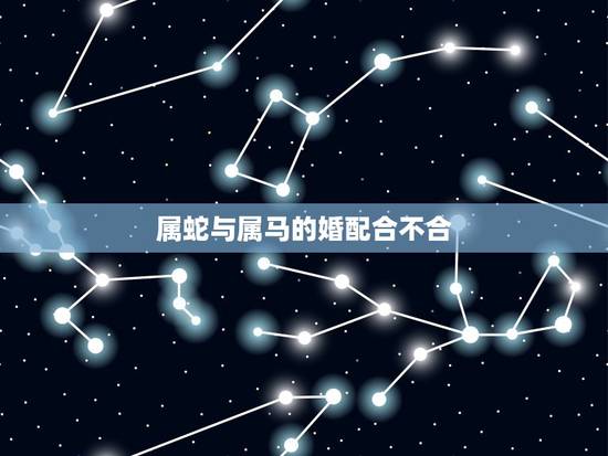 属蛇与属马的婚配合不合，属蛇和属马相配的婚姻能白头偕老吗