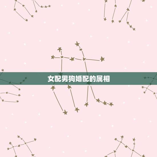女配男狗婚配的属相,男属狗的属相婚配表 和什么属相的女生最配 女配男狗婚配的属相,男属狗的属相婚配表 和什么属相的女生最配