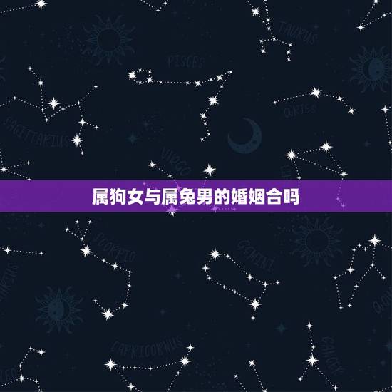 属狗女与属兔男的婚姻合吗，属狗女跟属兔男配不配？