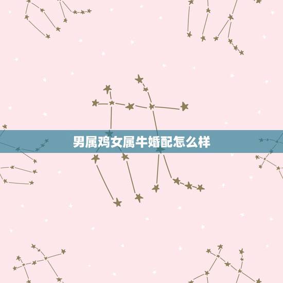 男属鸡女属牛婚配怎么样,男属鸡女属牛是否宜婚配 男属鸡女属牛婚配怎么样,男属鸡女属牛是否宜婚配