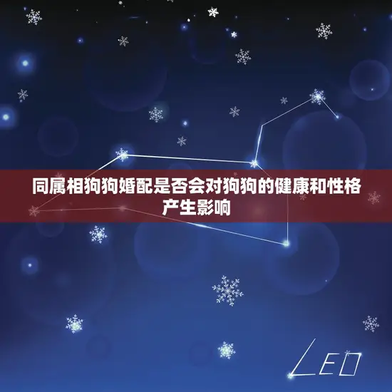 同属相狗狗婚配是否会对狗狗的健康和性格产生影响