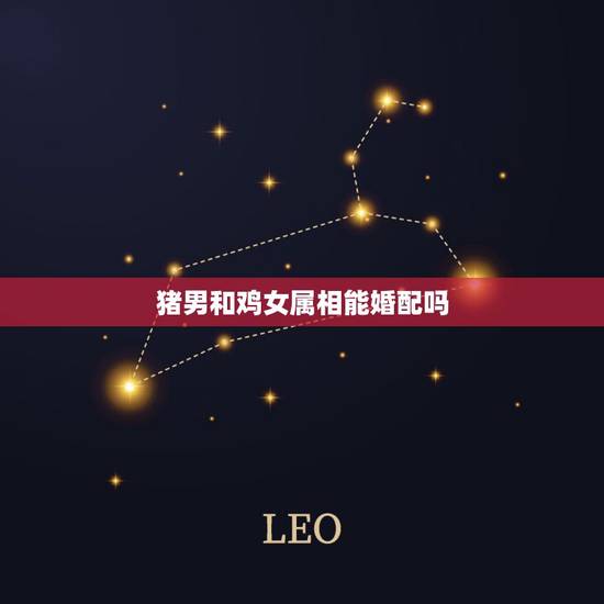 猪男和鸡女属相能婚配吗,男属鸡和女属猪可以婚配吗 猪男和鸡女属相能婚配吗,男属鸡和女属猪可以婚配吗
