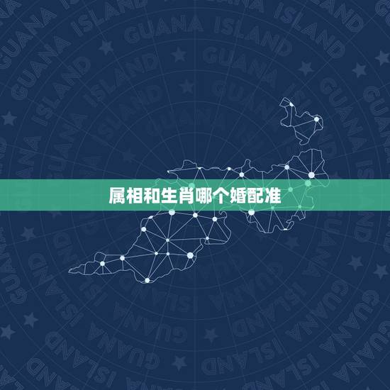 属相和生肖哪个婚配准,婚姻讲究生肖属相是真的可信吗? 属相和生肖哪个婚配准,婚姻讲究生肖属相是真的可信吗?