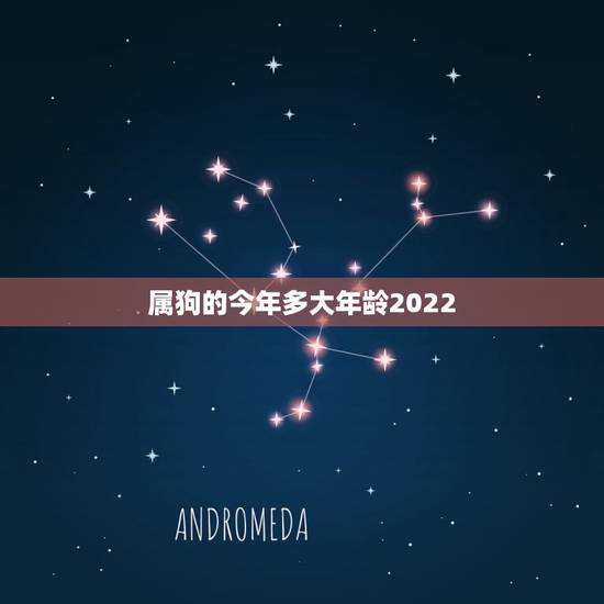 属狗的今年多大年龄2022,2022年属狗 属狗的今年多大年龄2022,2022年属狗