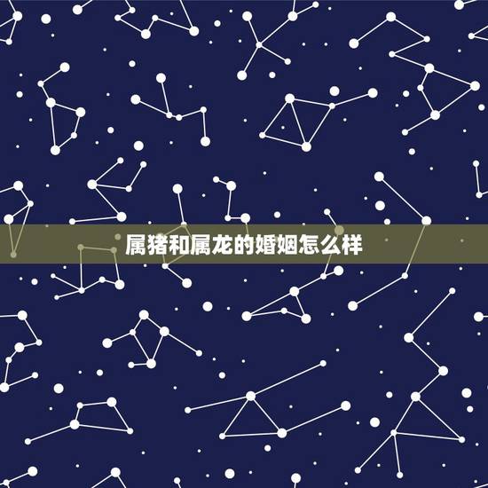 属猪和属龙的婚姻怎么样,猪和龙合不合财 属猪和属龙的婚姻怎么样,猪和龙合不合财
