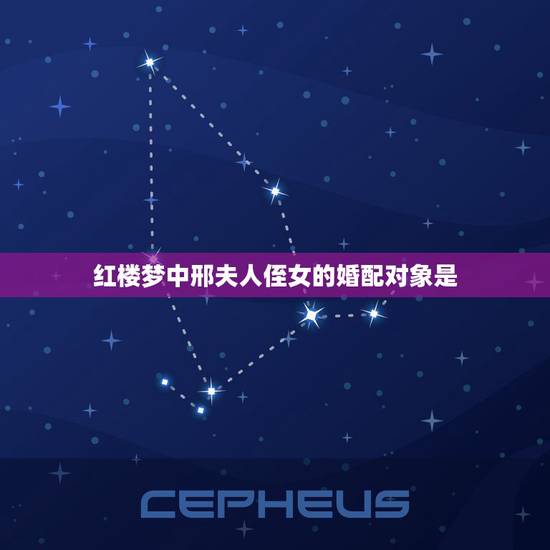 红楼梦中邢夫人侄女的婚配对象是，红楼梦中邢夫人是谁的妻子
