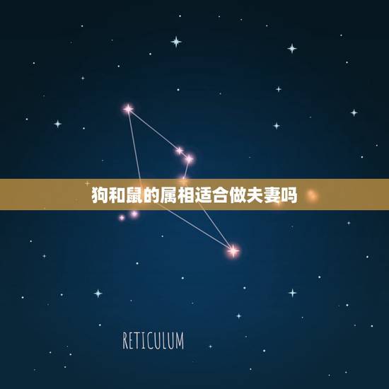 狗和鼠的属相适合做夫妻吗，男狗女鼠夫妻财运
